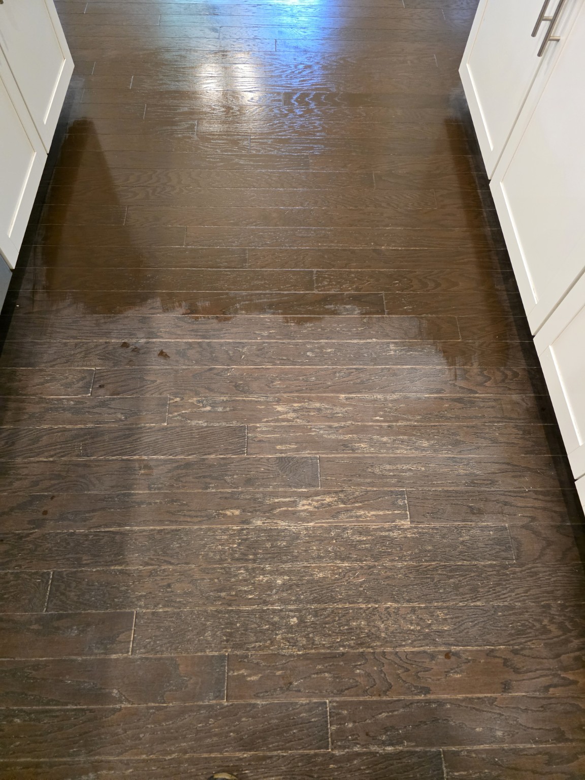 Close view showing worn scratched floor transitioning into a restored coated area