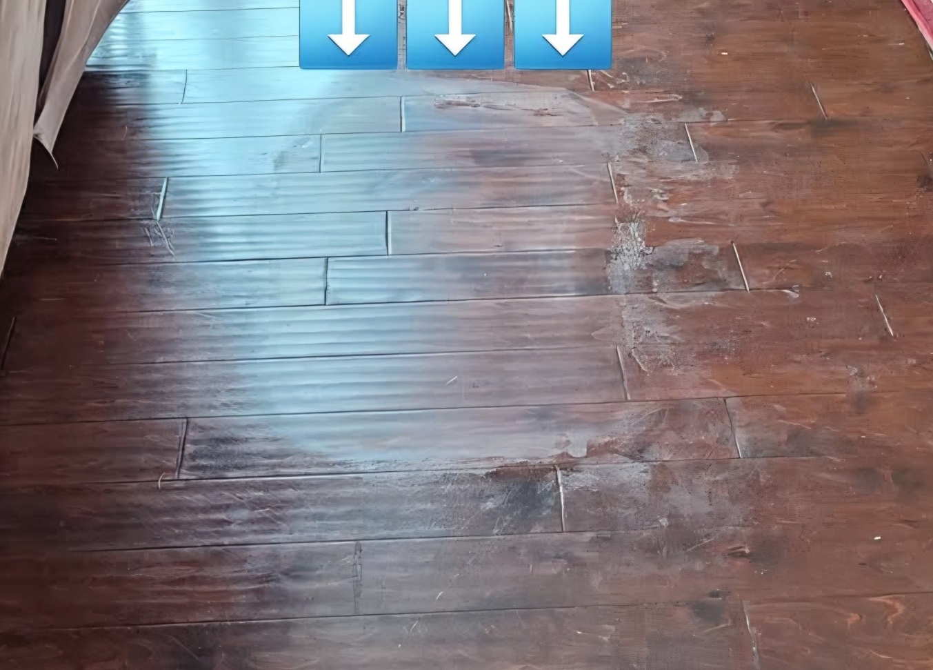 Wax and acrylic coating removal in progress on a hardwood floor