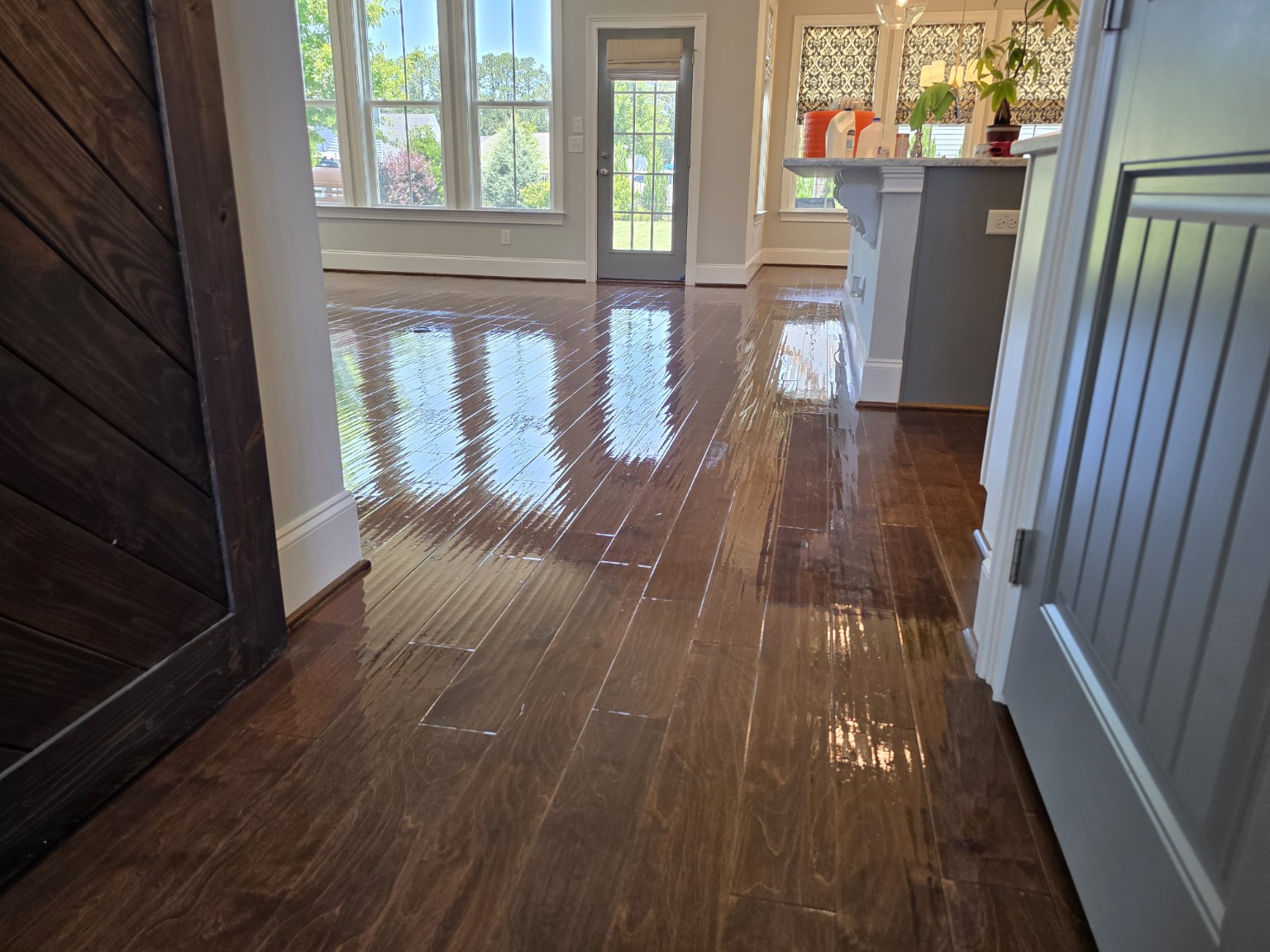 Fresh hardwood floor finish reflecting natural light
